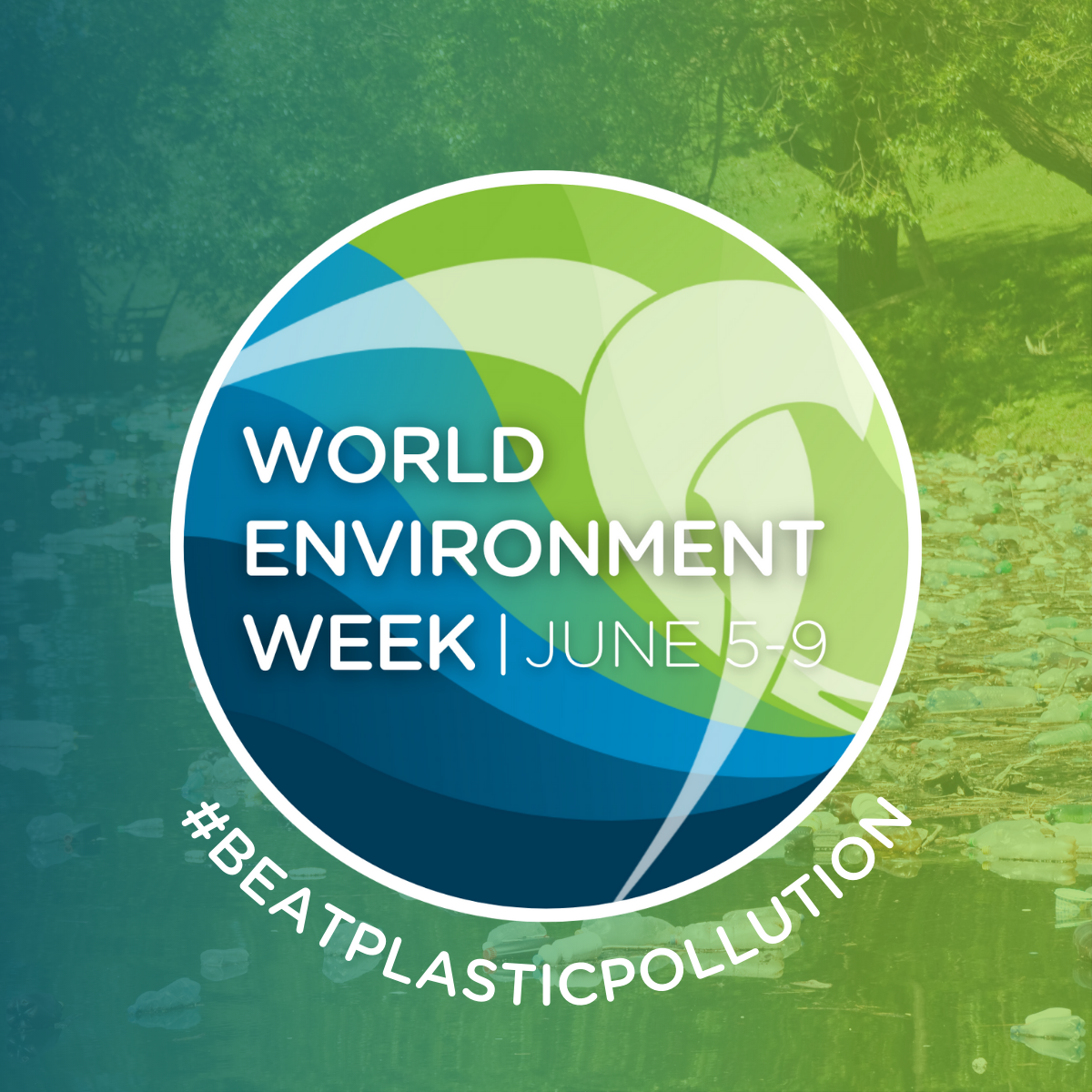 World Environment Week Raising awareness and promoting sustainability
